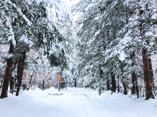 雪の軽井沢の景色