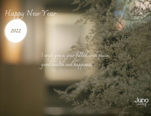 Happy new year！2022元旦